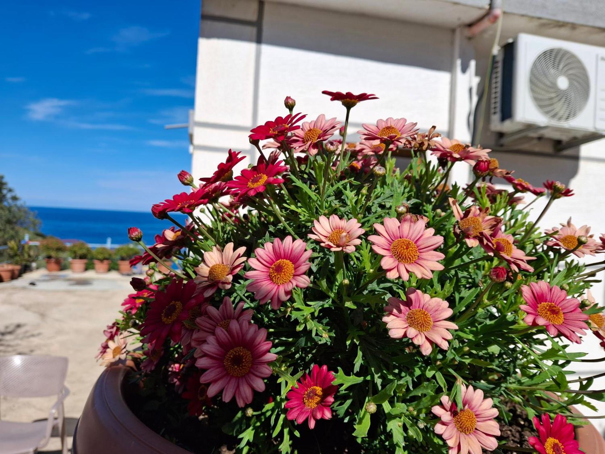 Ferienwohnung Amar Seaside Ksamil Exterior foto