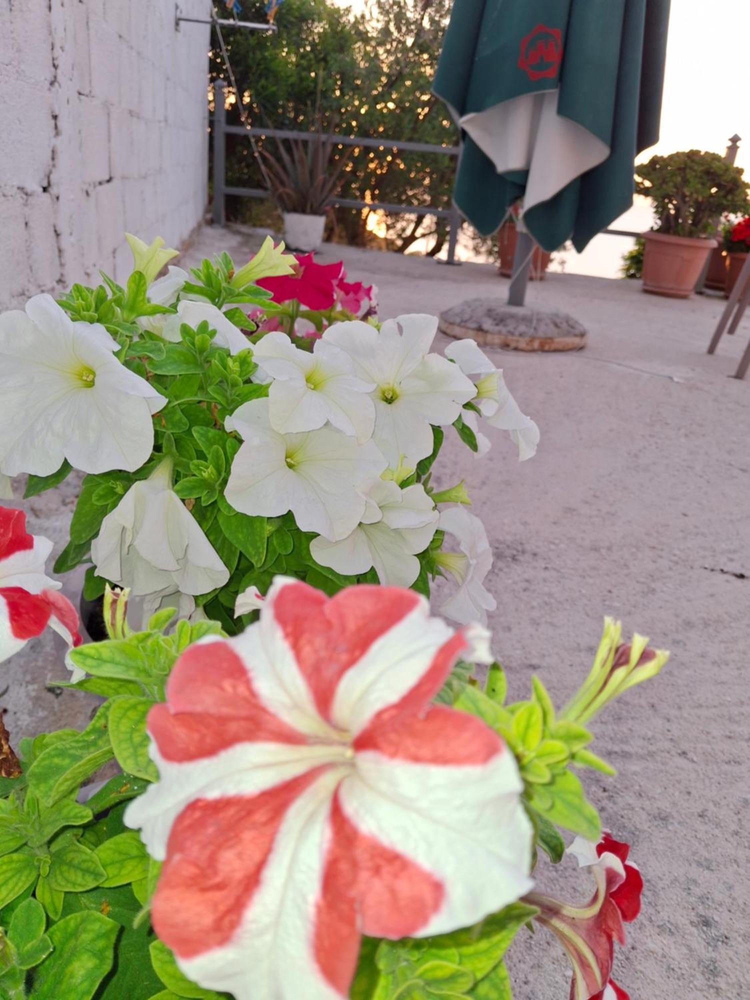 Ferienwohnung Amar Seaside Ksamil Exterior foto